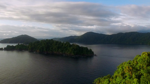 A picture of choco green coastline